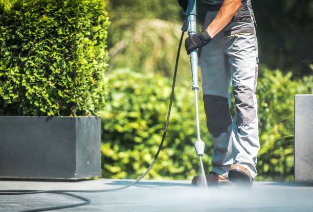 Best Fence Cleaning  in Princeton, NJ